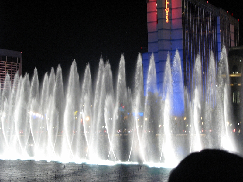 IMG_5980.JPG