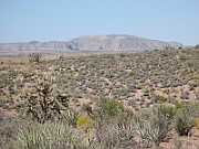 IMG_6075