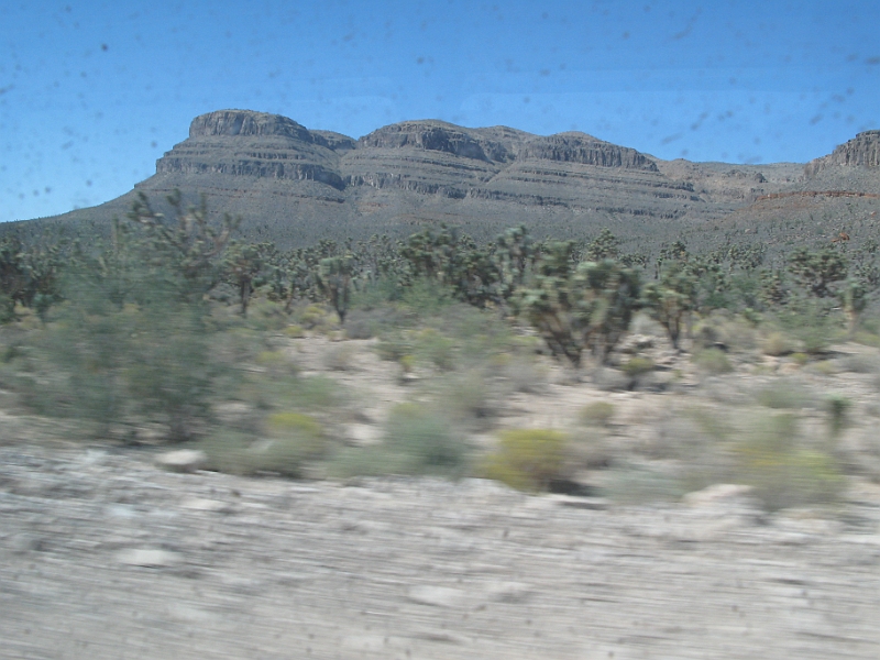 IMG_6192.JPG