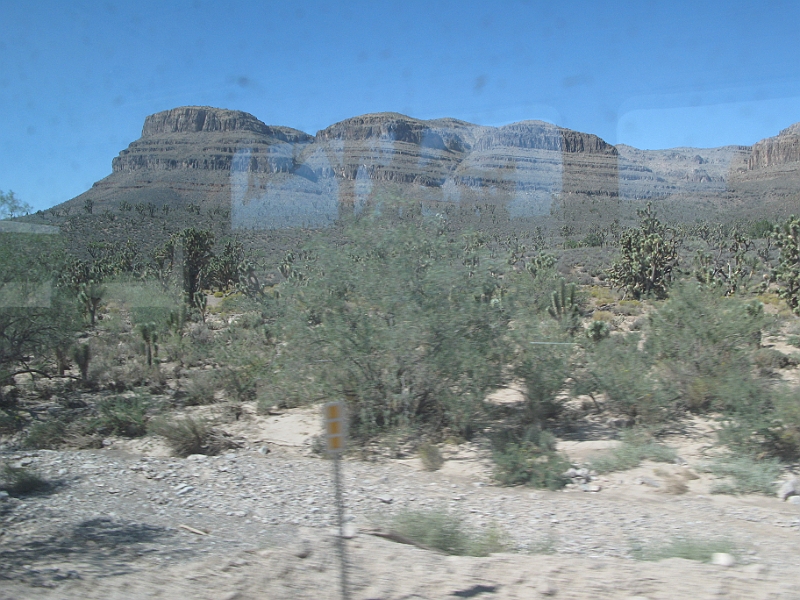 IMG_6194.JPG