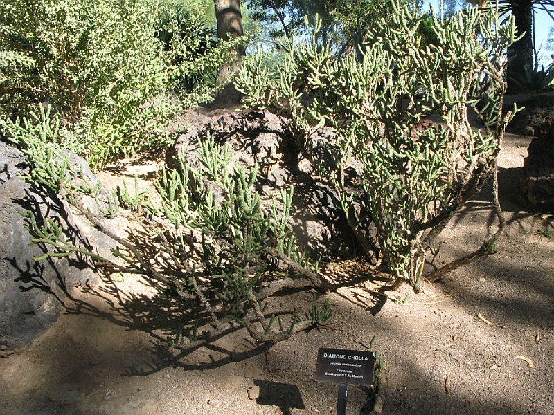IMG_6267.JPG