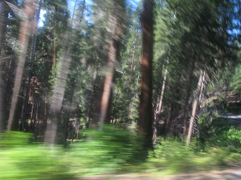 IMG_6285.JPG