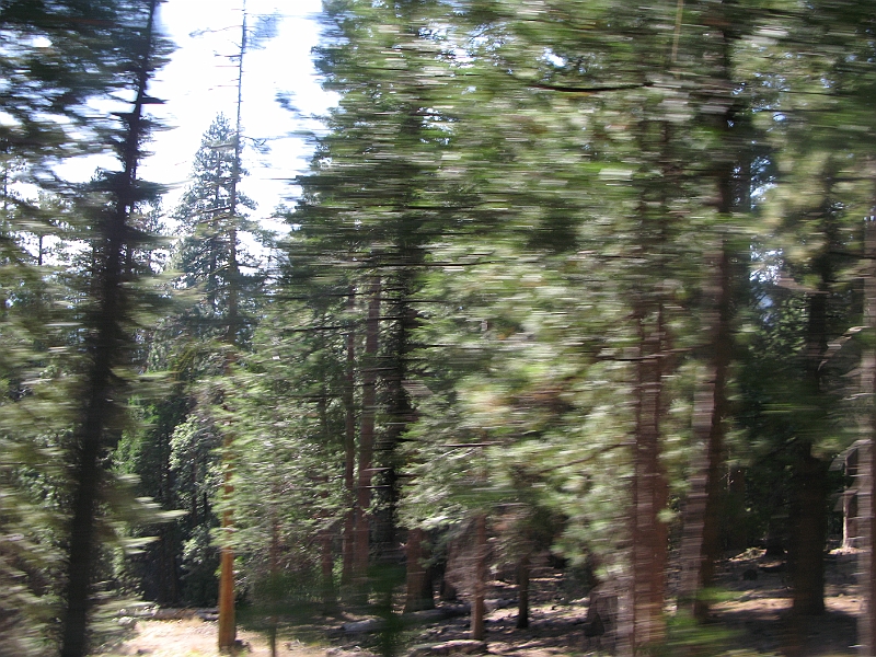 IMG_6288.JPG