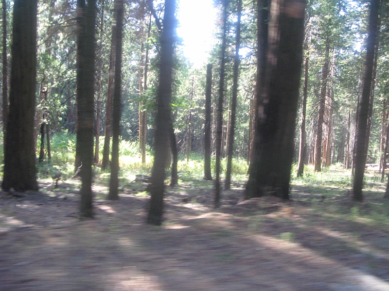 IMG_6290.JPG