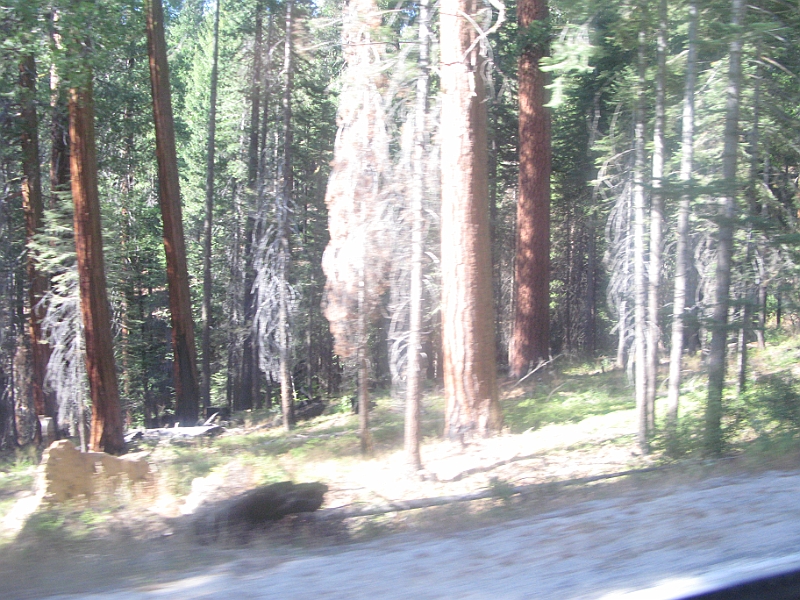 IMG_6291.JPG