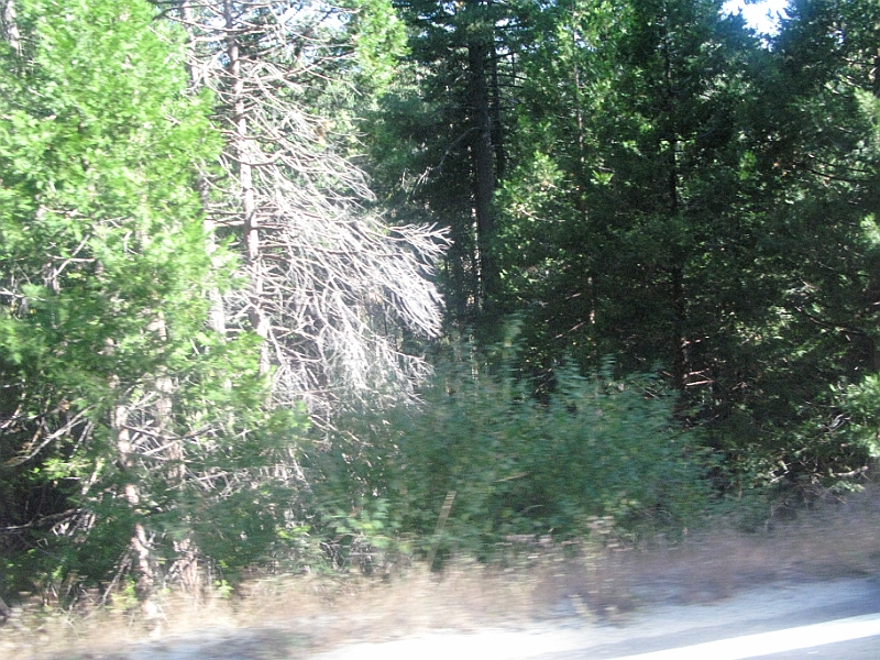 IMG_6293.JPG