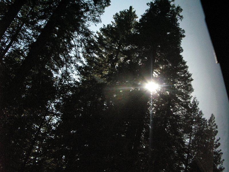 IMG_6298.JPG
