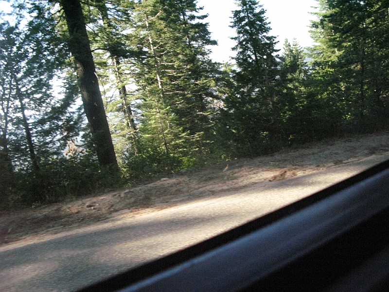 IMG_6301.JPG