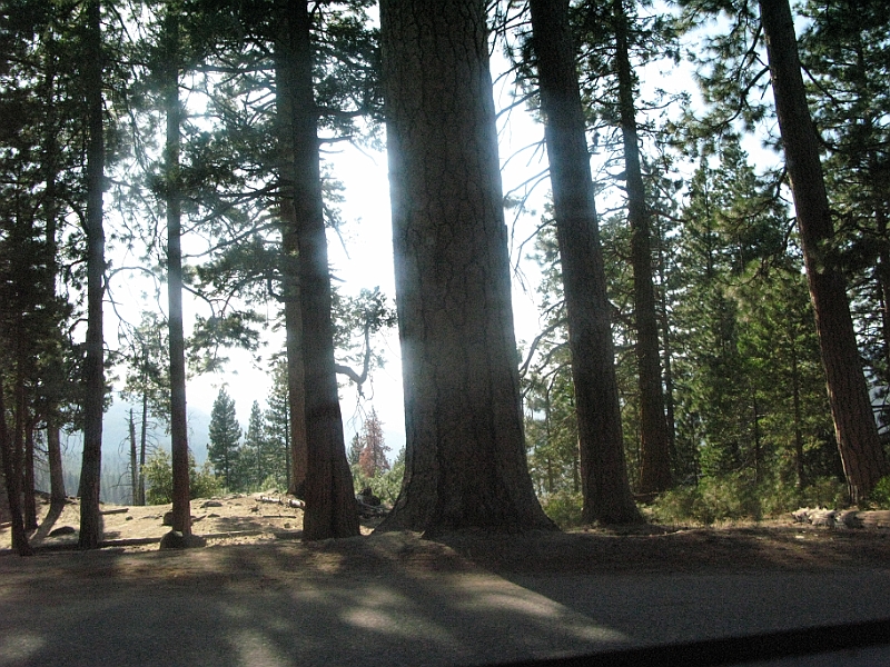 IMG_6305.JPG