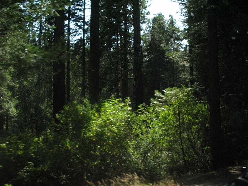 IMG_6309.JPG