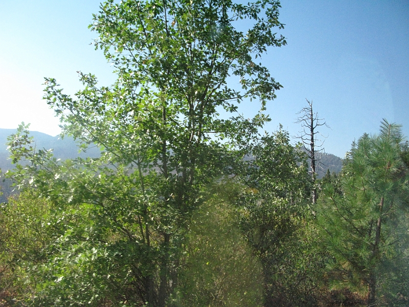IMG_6310.JPG