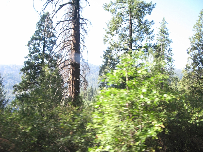 IMG_6313.JPG