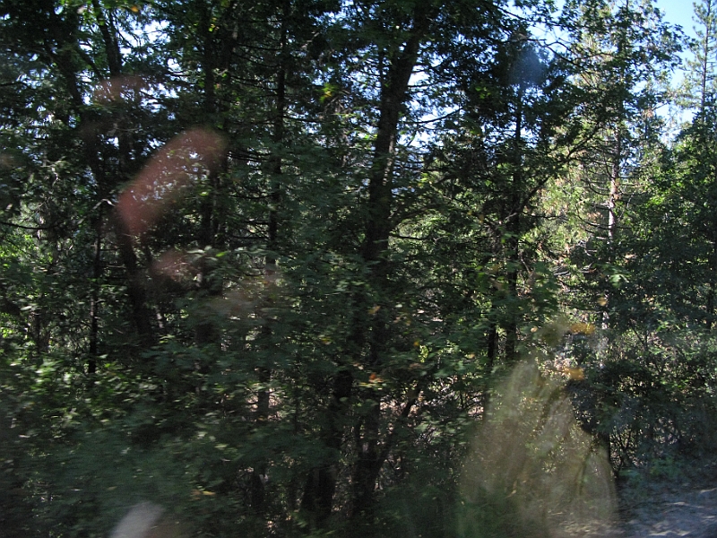IMG_6314.JPG