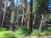 IMG_6285