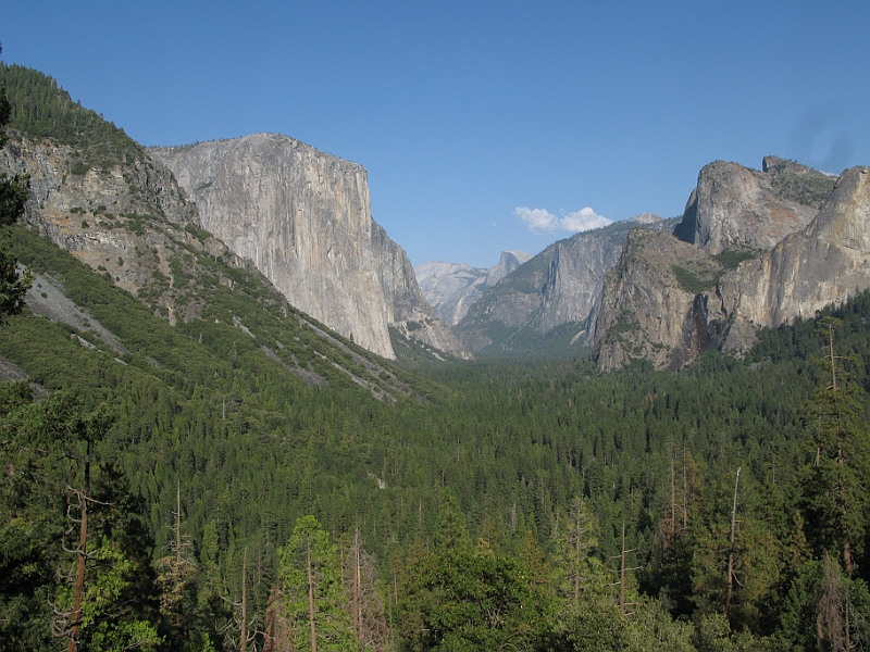 IMG_6330.JPG