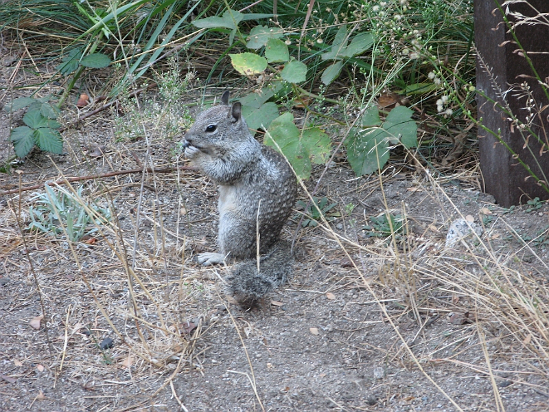 IMG_6353.JPG
