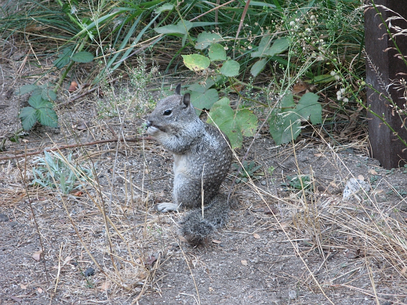 IMG_6354.JPG