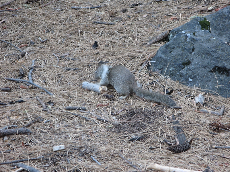 IMG_6372.JPG