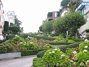 IMG_6564