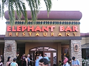 2009_09_26e Elephant Bar