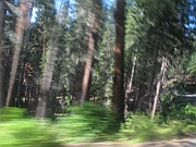 2009_09_23b Yosemite
