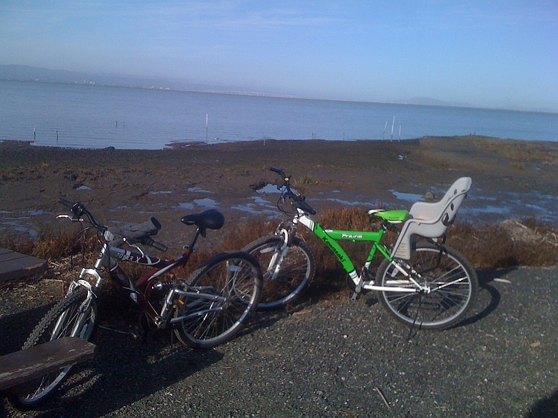 09-11-07-085042.JPG