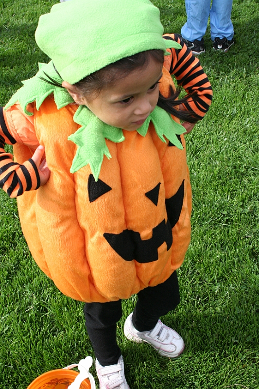 10-10-29-120237.JPG