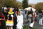 10-10-29-120119