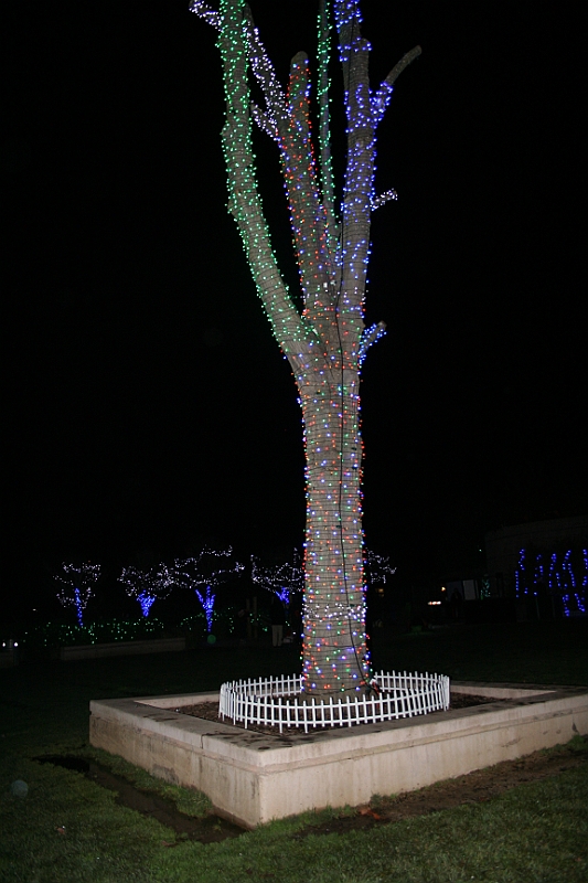 10-12-26-210020.JPG