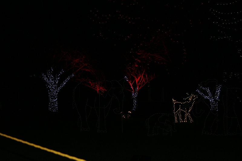 10-12-26-211638.JPG