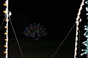 10-12-26-215740