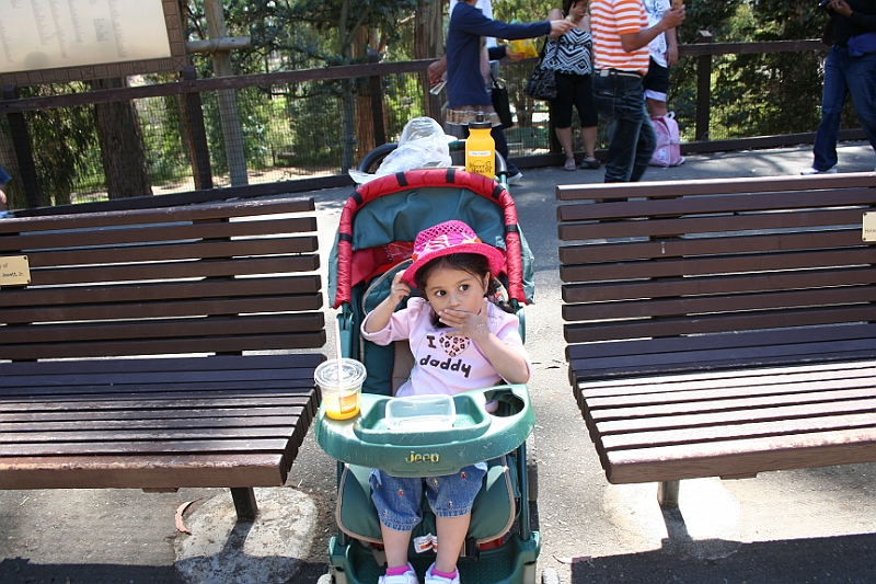 10-06-20-151254.JPG