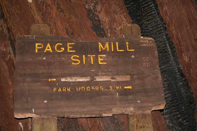10-09-05-123203.JPG