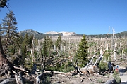 10-07-04-181222