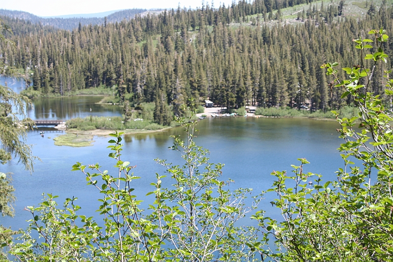 10-07-05-115032.JPG