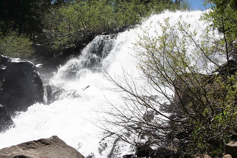 10-07-05-115656.JPG