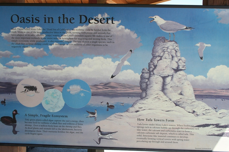 10-07-06-112712.JPG