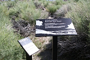 10-07-06-101628