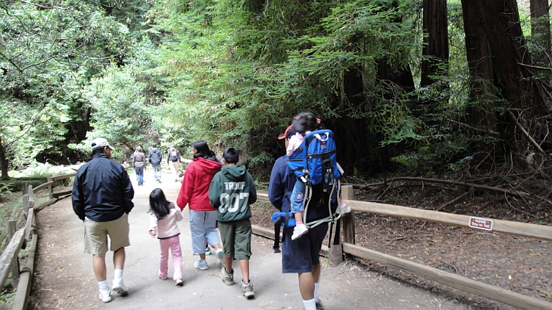 10-08-01-131849.JPG - Muir Woods National Monument!