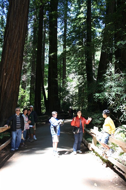 10-08-01-133505.JPG - Muir Woods National Monument!"This is the best tree-lovers monument that could possibly be found in all the forests of the world," declared conservationist John Muir when describing the majestic coast redwoods of Muir Woods. 