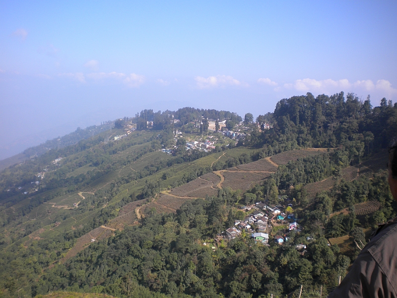 11-01-02-113244.JPG