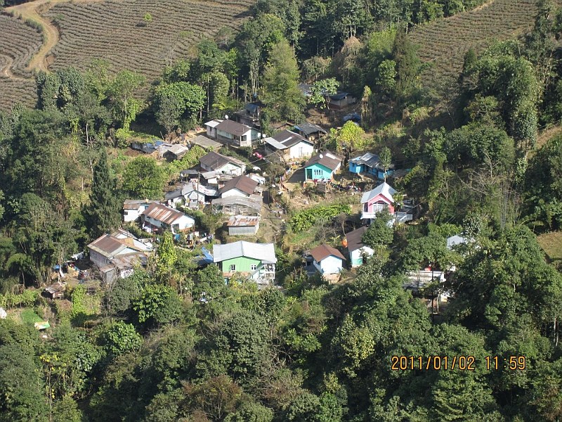 11-01-02-115940.JPG
