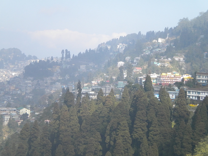 11-01-02-125632.JPG
