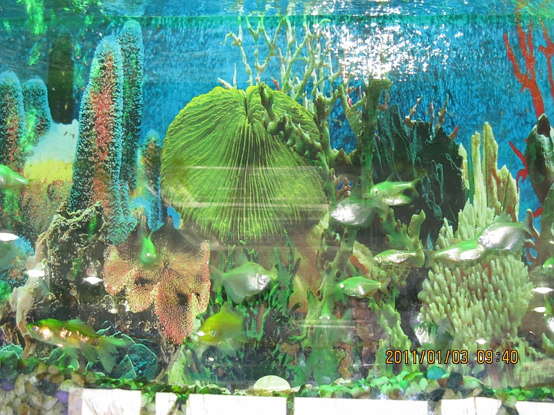 11-01-03-094038.JPG