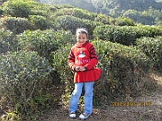 11-01-02-120740