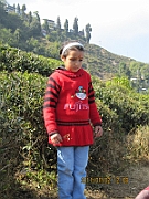 11-01-02-120823