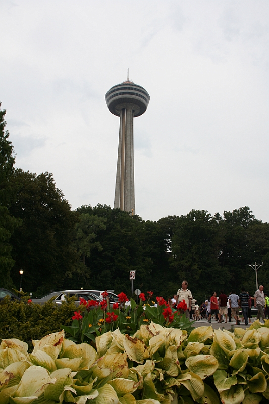 10-08-21-184344.JPG
