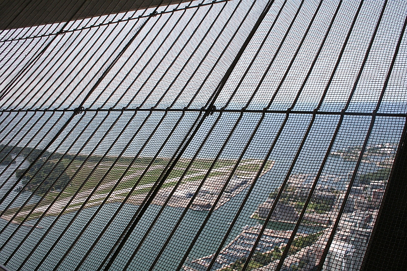10-08-20-121157.JPG