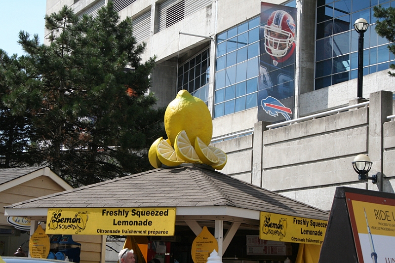 10-08-20-110403.JPG