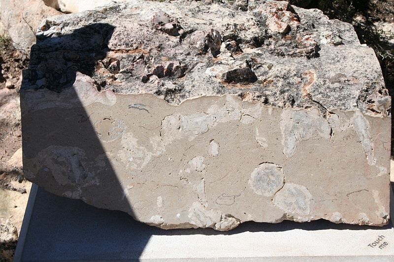 10-04-07-134409.JPG